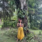 A New Chapter and Vision for Viajera Libre...